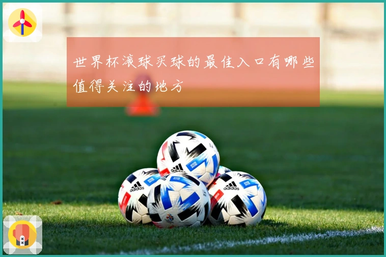 世界杯滚球买球的最佳入口有哪些值得关注的地方
