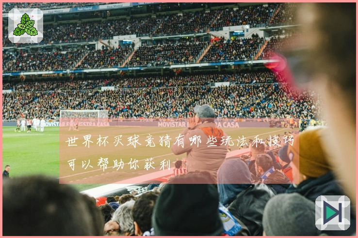 世界杯买球竞猜有哪些玩法和技巧可以帮助你获利