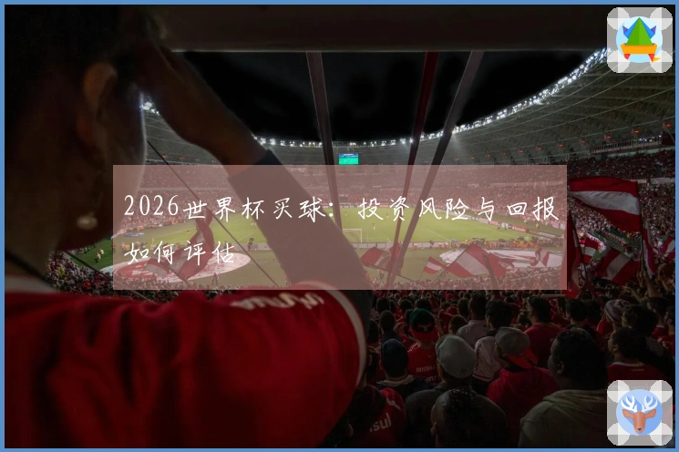 2026世界杯买球：投资风险与回报如何评估