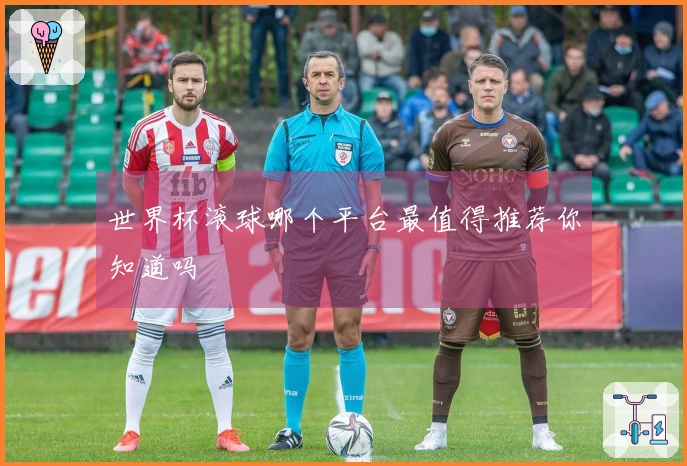 世界杯滚球哪个平台最值得推荐你知道吗