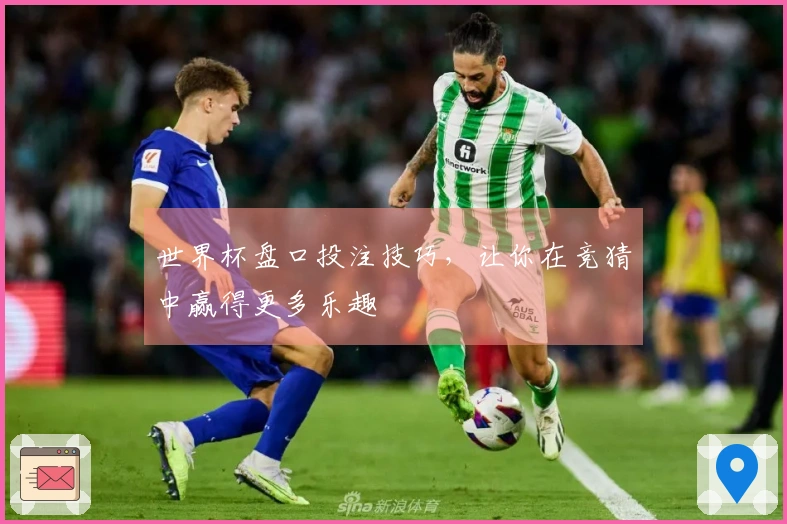 世界杯盘口投注技巧，让你在竞猜中赢得更多乐趣