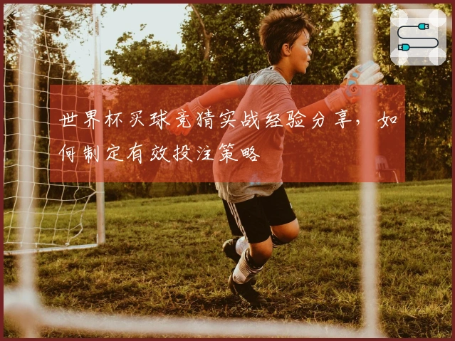 世界杯买球竞猜实战经验分享，如何制定有效投注策略