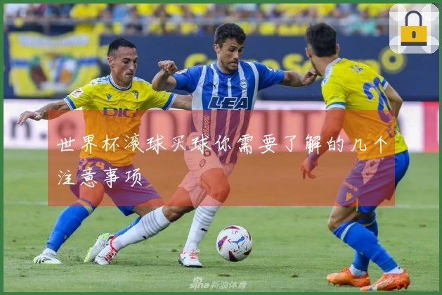 世界杯滚球买球你需要了解的几个注意事项