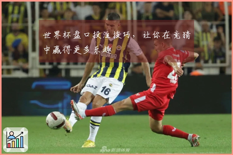 世界杯盘口投注技巧，让你在竞猜中赢得更多乐趣