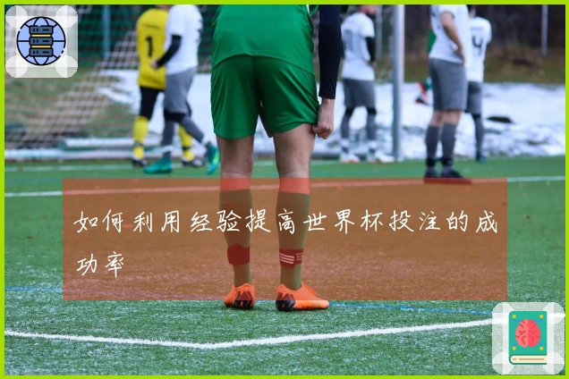 如何利用经验提高世界杯投注的成功率