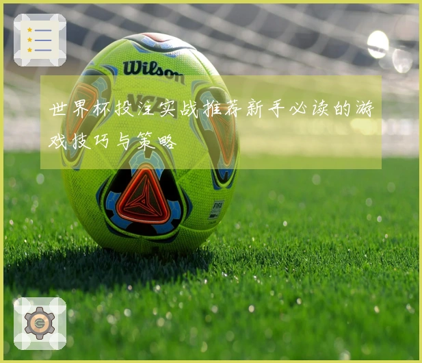 世界杯投注实战推荐新手必读的游戏技巧与策略