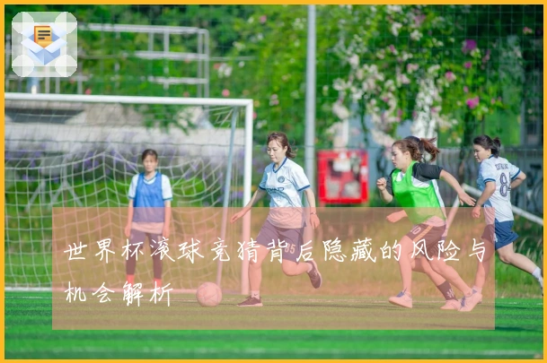 世界杯滚球竞猜背后隐藏的风险与机会解析